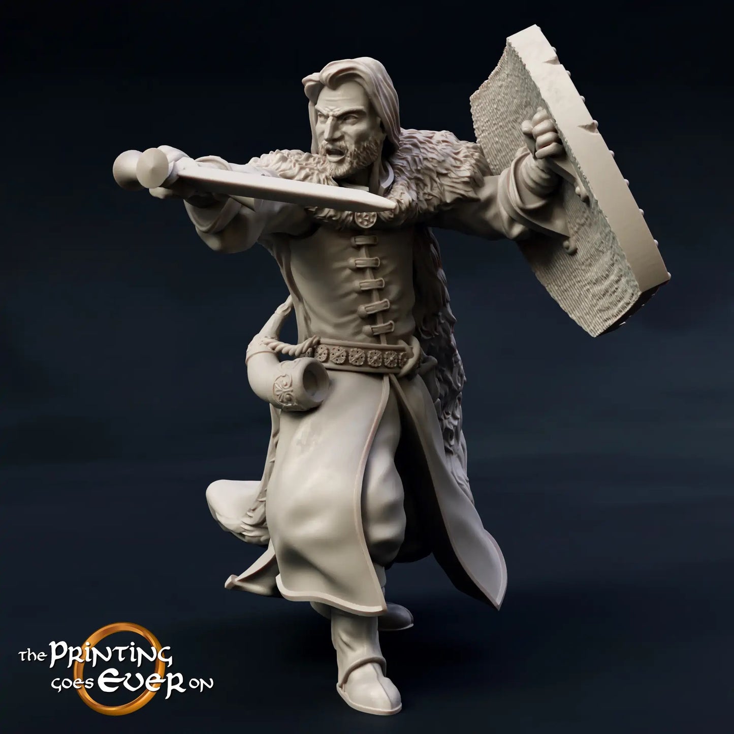 Foto del producto Tabletop 28mm The Printing Goes Ever On (TPGEO) 0: 9 héroes en pose de combate: compañeros de humanos, elfos, enanos y medianos - guerreros