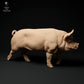 Foto de producto, figura de animal Animal Den Miniatures 1: Figura de animal de granja: verraco Berkshire - caminando (24_01_63)