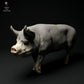 Foto de producto, figura de animal Animal Den Miniatures 2: Figura de animal de granja: verraco Berkshire caminando (24_01_63)