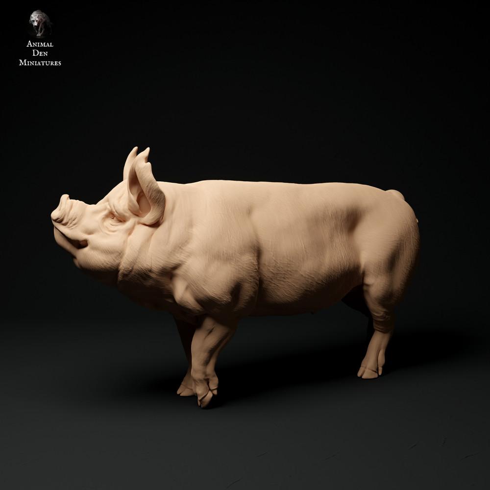 Foto de producto, figura de animal Animal Den Miniatures 1: Figura de animal de granja: verraco Berkshire (24_01_64)