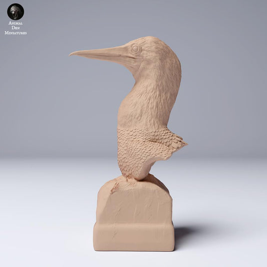 Foto de producto 0: Figura de animal ave marina: piquero de patas azules - Busto (24_08_02)