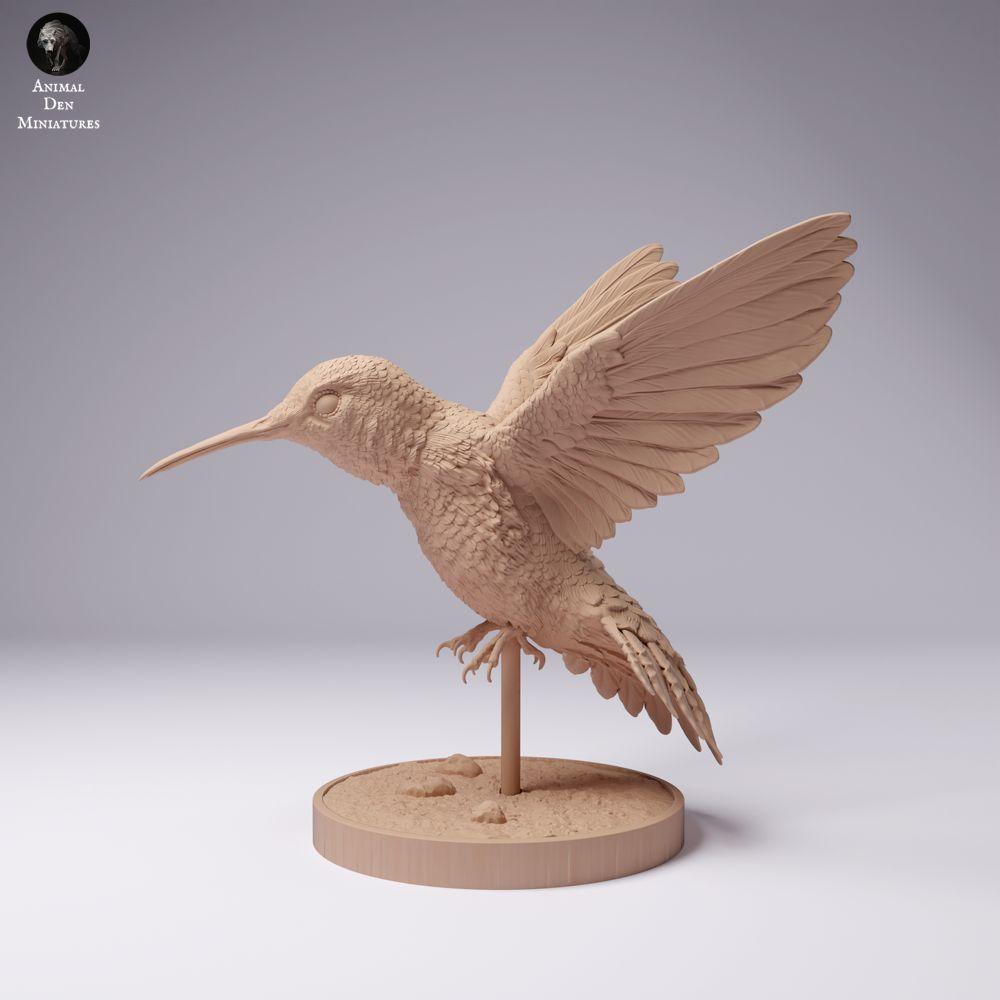 Foto de producto 0: Figura de animal ave: colibrí de cola ancha (25_01_08)