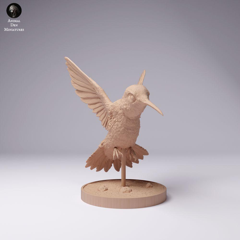 Foto de producto 1: figura de ave: colibrí coliancho (25_01_08)