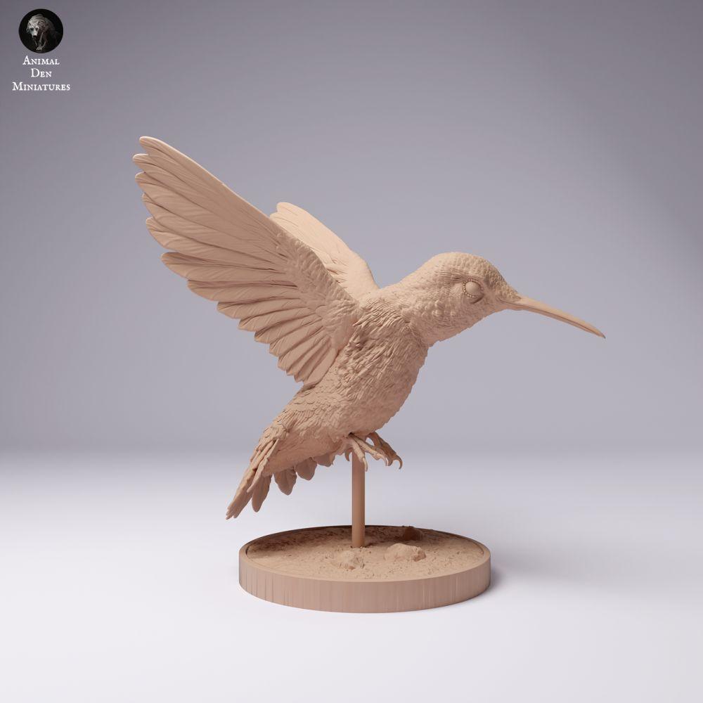 Foto de producto 2: Figura de animal ave: colibrí coliancho (25_01_08)