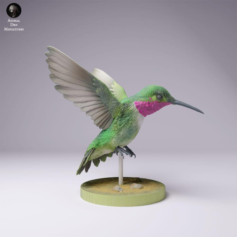 Foto de producto 3: figura de animal ave: colibrí coliancho (25_01_08)