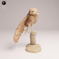 Foto de producto figura animal Animal Den Miniatures 3: Figura de animal salvaje: búho llanero estirándose (25_09_14)