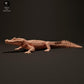 Foto de producto, figura de animal Animal Den Miniatures 1: figura de reptil: caimán negro tomando el sol (23_06_07)