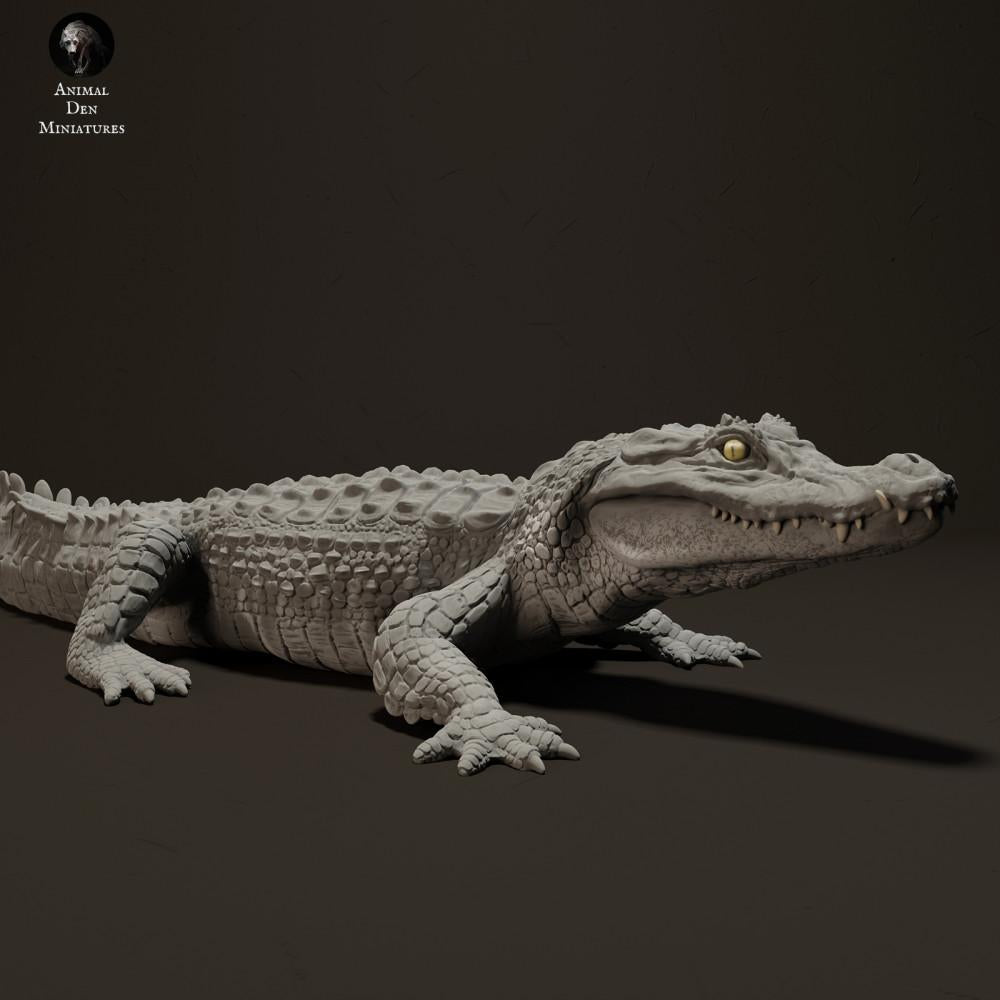 Foto de producto de figura animal Animal Den Miniatures 2: Figura animal de reptil: caimán negro tomando el sol (23_06_07)