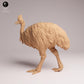 Foto del producto Tabletop 28mm Lord of the Print (LotP) 1: figura de ave silvestre: casuario común (26_05_10)