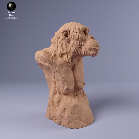 Foto de producto de figura de animal Animal Den Miniatures 0: Figura de animal de la jungla: chimpancé común - busto (24_02_17)