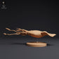 Foto de producto 1: Figura animal marina: calamar colosal (25_04_05)