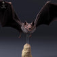Foto del producto, figura de animal Animal Den Miniatures 6: Figura de animal: vampiro común - volando (26_10_03)