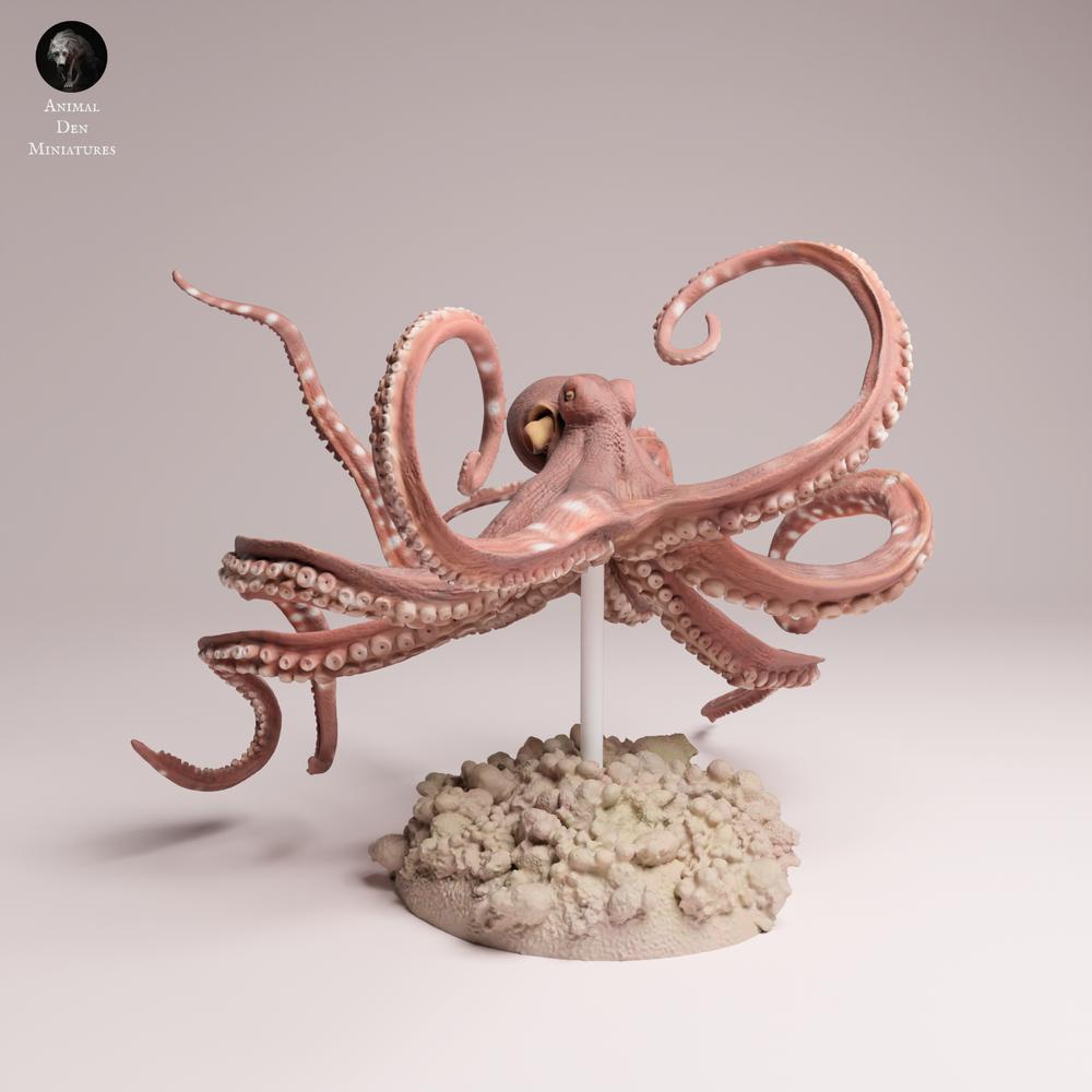 Foto de producto 3: figura de animal marino: pulpo diurno - nadando (25_10_06)