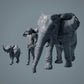 Elefante africano hembra y cría - Animales de la sabana (23_02_04)