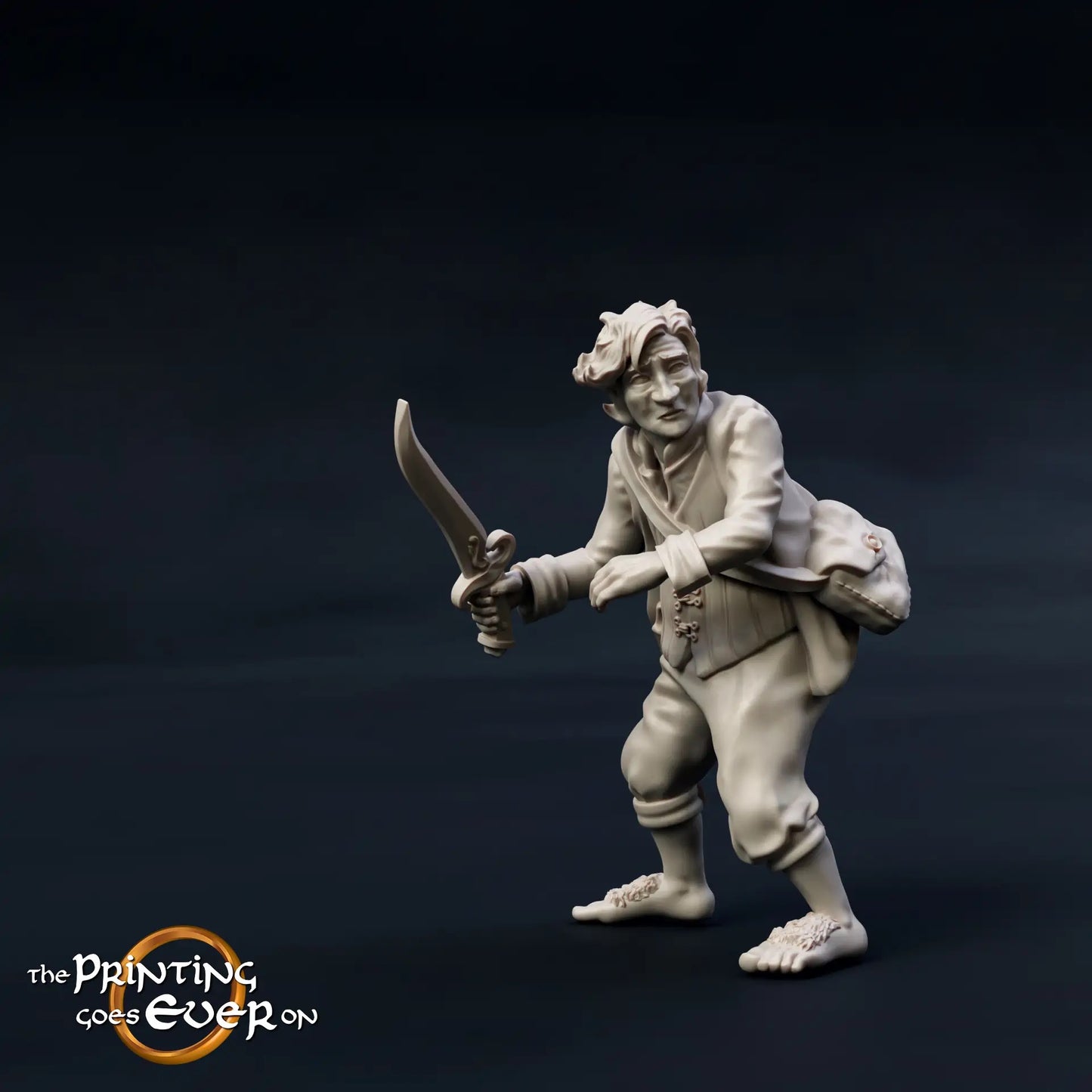 Foto del producto Tabletop 28mm The Printing Goes Ever On (TPGEO) 0: 9 héroes en pose de combate: compañeros de humanos, elfos, enanos y medianos - guerreros