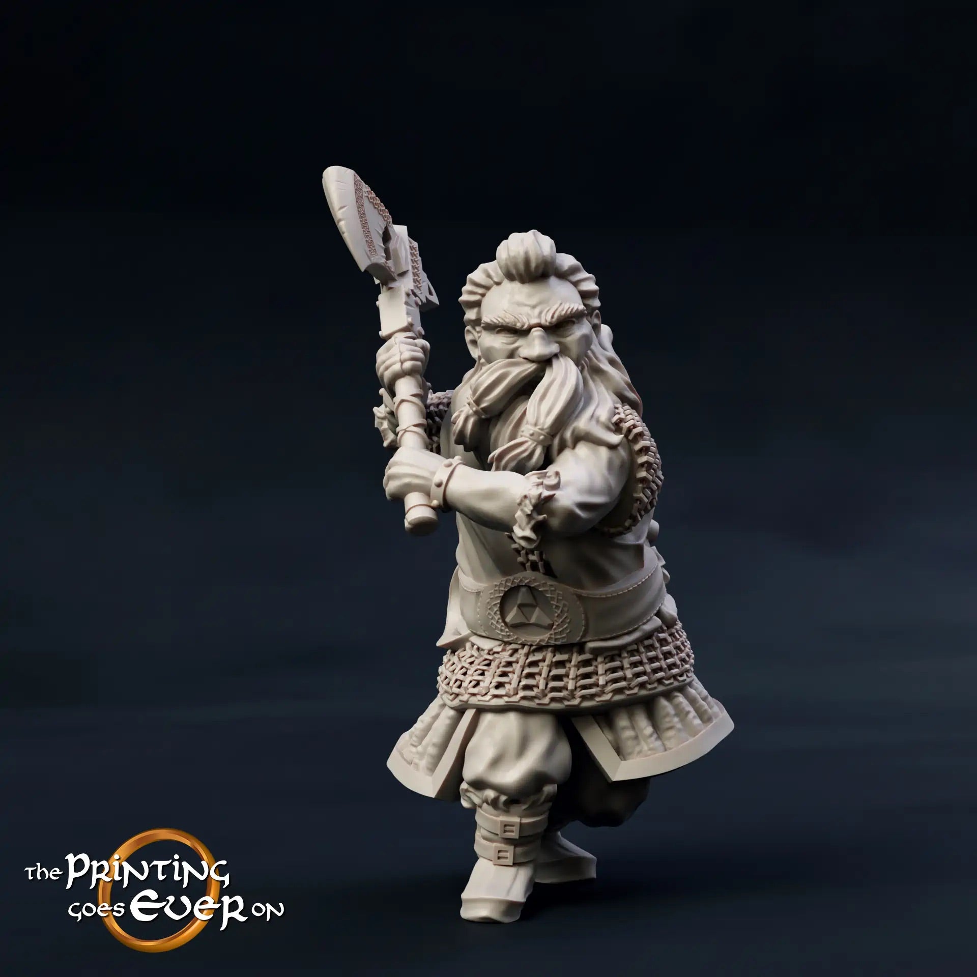 Foto del producto Tabletop 28mm The Printing Goes Ever On (TPGEO) 0: 9 héroes en pose de combate: compañeros de humanos, elfos, enanos y medianos - guerreros