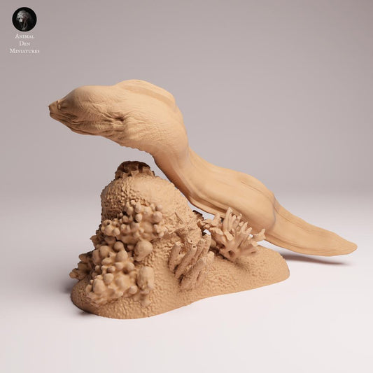 Foto de producto 0: Figura de animal marino: morena gigante - nadando (25_10_04)