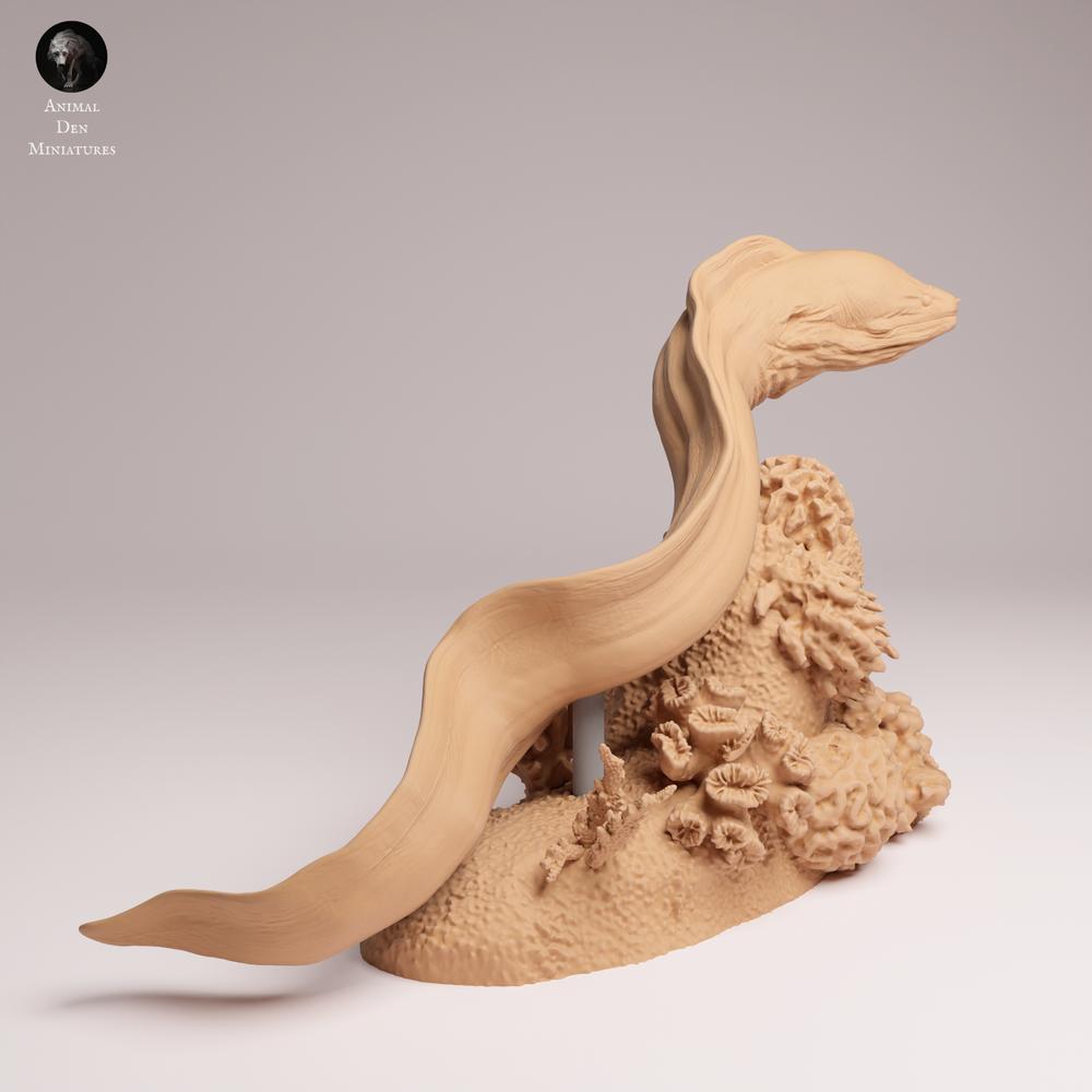 Foto de producto 1: Figura de animal marino: morena gigante - nadando (25_10_04)