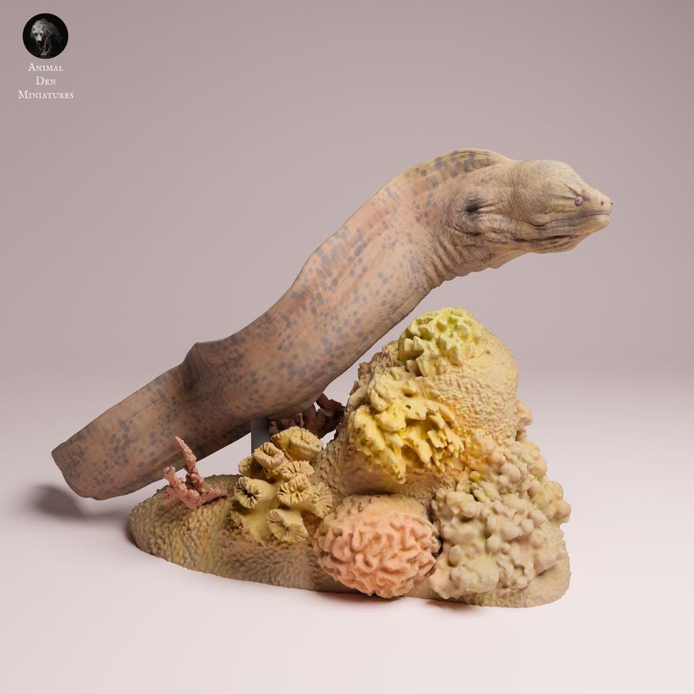 Foto de producto 3: figura de animal marino: morena gigante - nadando (25_10_04)