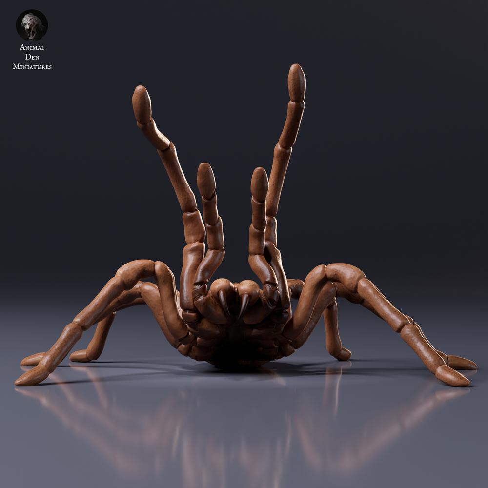 Foto del producto: figura de animal Animal Den Miniatures 6: figura de arácnido: tarántula Goliat - postura amenazante (26_10_02)