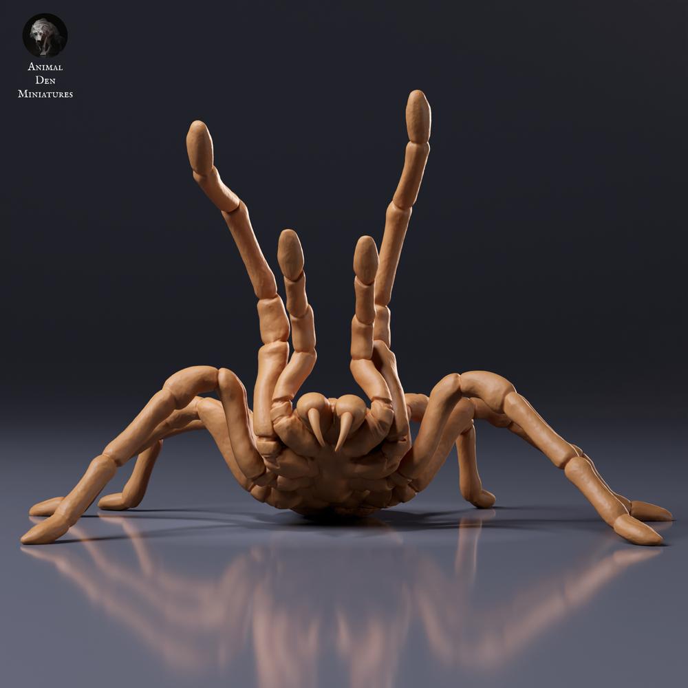 Foto del producto, figura de animal Animal Den Miniatures 7: figura de arácnido: tarántula Goliat - postura amenazante (26_10_02)