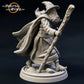 Foto del producto Tabletop 28mm The Printing Goes Ever On (TPGEO) 0: 9 héroes en pose de viaje: compañeros de humanos, elfos, enanos y medianos - Viajero