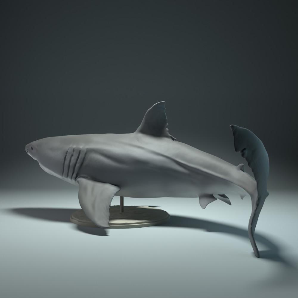 Foto de producto figura de animal Animal Den Miniatures 1: Figura de animal marino: tiburón blanco (22_09_02)