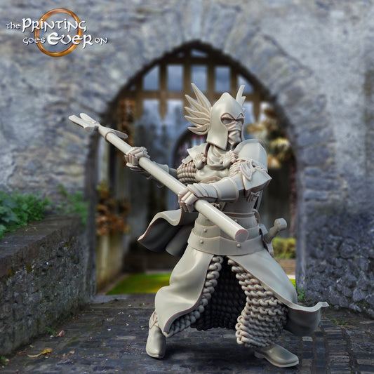Produktfoto mittelalterliche historische Figur 75mm Scale The Printing Goes Ever On (TPGEO)  0: Mittelalterliche Ritter Figuren Burgwache C - 75mm Modelle - Krieger von Gonthan