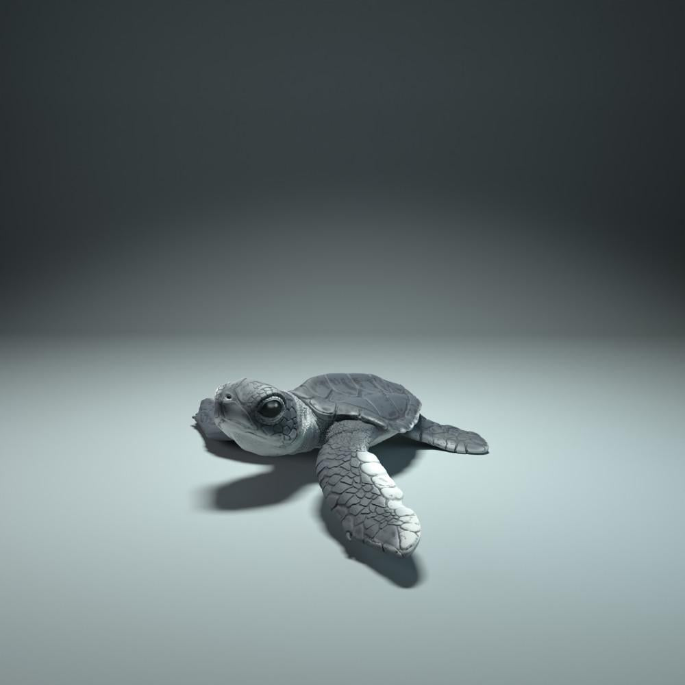 Foto de producto de figura de animal Animal Den Miniatures 3: cría de tortuga marina al eclosionar (21_12_01)