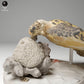 Foto de producto de figura animal Animal Den Miniatures 2: Figura de animal marino: tortuga carey real - alimentándose (24_05_04)