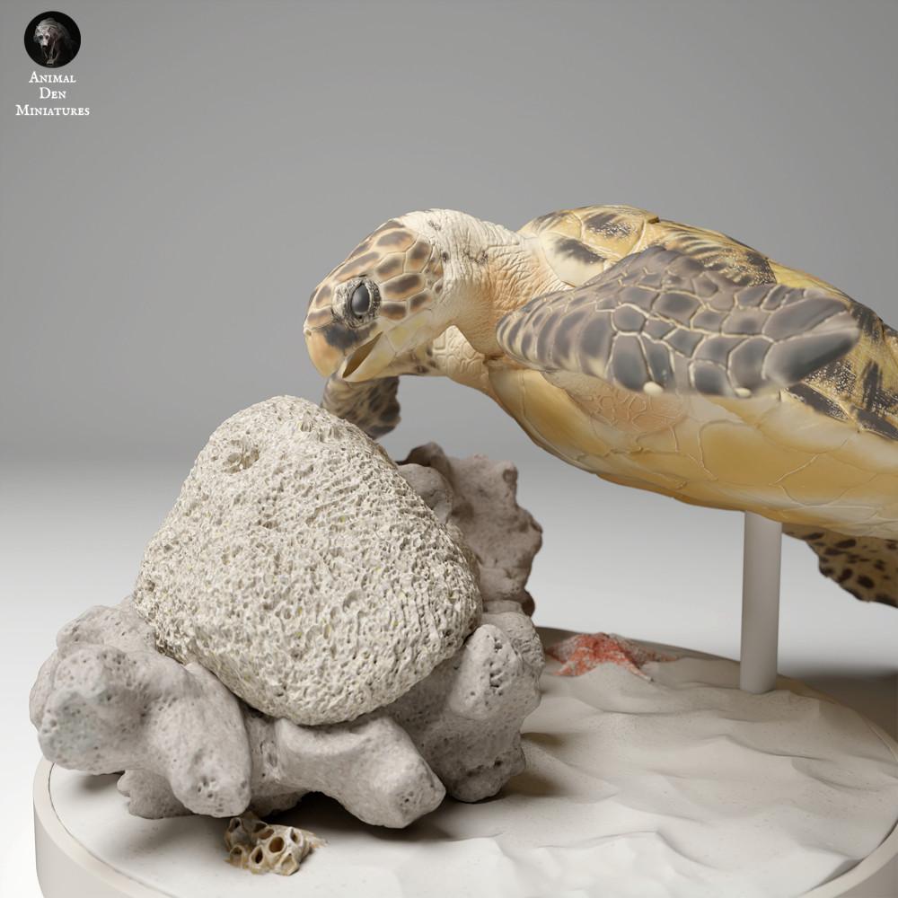 Foto de producto de figura animal Animal Den Miniatures 2: Figura de animal marino: tortuga carey real - alimentándose (24_05_04)