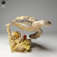 Foto de producto figura animal Animal Den Miniatures 2: Figura de animal marino: Tortuga carey realista - nadando (24_05_03)