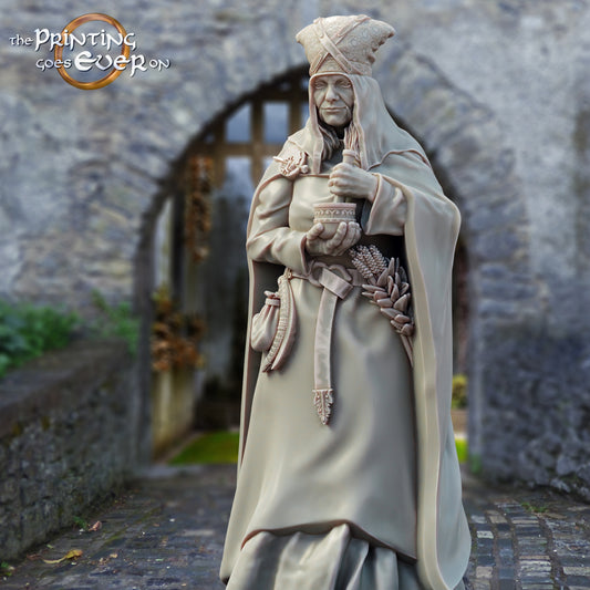 Produktfoto mittelalterliche historische Figur 75mm Scale The Printing Goes Ever On (TPGEO)  0: Mittelalterliche Ritter Figuren Dorfbewohner Heilerin - 75mm Modelle - Mittelalterliche Stadt