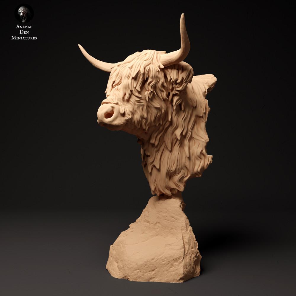 Foto de producto figura animal Animal Den Miniatures 0: Figura de animal de granja: vaca Highland escocesa - busto (24_01_60)