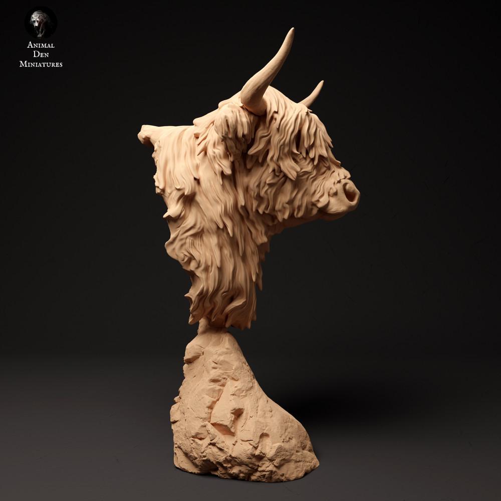 Foto de producto de figura de animal Animal Den Miniatures 1: Figura de animal de granja: vaca Highland escocesa - busto (24_01_60)