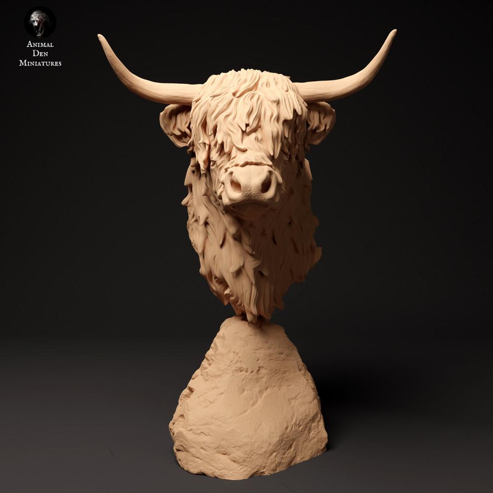 Foto de producto de figura animal Animal Den Miniatures 2: figura animal de granja: ganado vacuno de las Tierras Altas escocesas - busto (24_01_60)