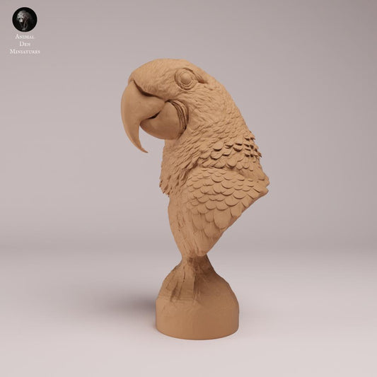 Foto de producto de figura de ave Animal Den Miniatures 0: Guacamayo jacinto - busto (26_08_07)