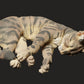 Foto del producto figura de animal diorama, modelismo: 0: figura de mascota: gato durmiendo
