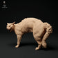 Foto del producto figura de animal diorama, modelismo: 0: figura de mascota: gato se eriza