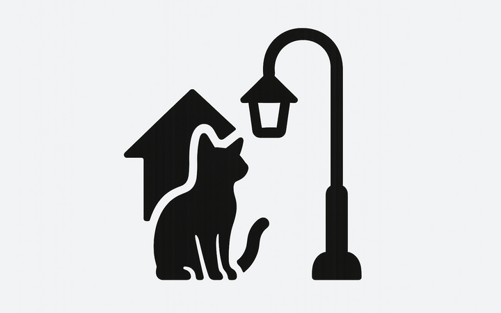 Ciudad/Área de asentamiento