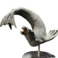 Foto del producto Diorama y modelo de figura en miniatura: figura de animal: foca