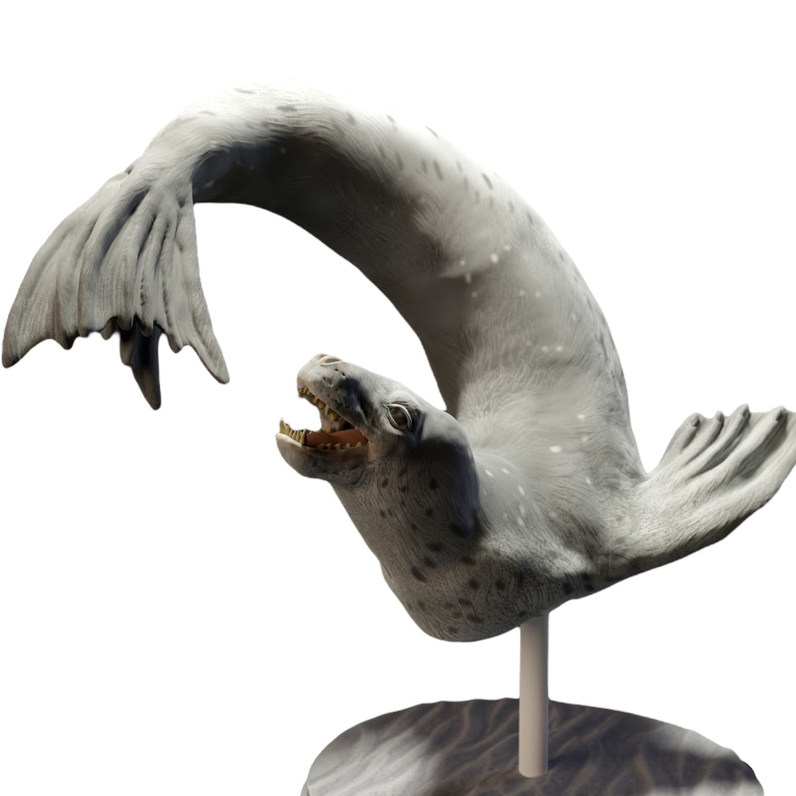 Foto del producto Diorama y modelo de figura en miniatura: figura de animal: foca