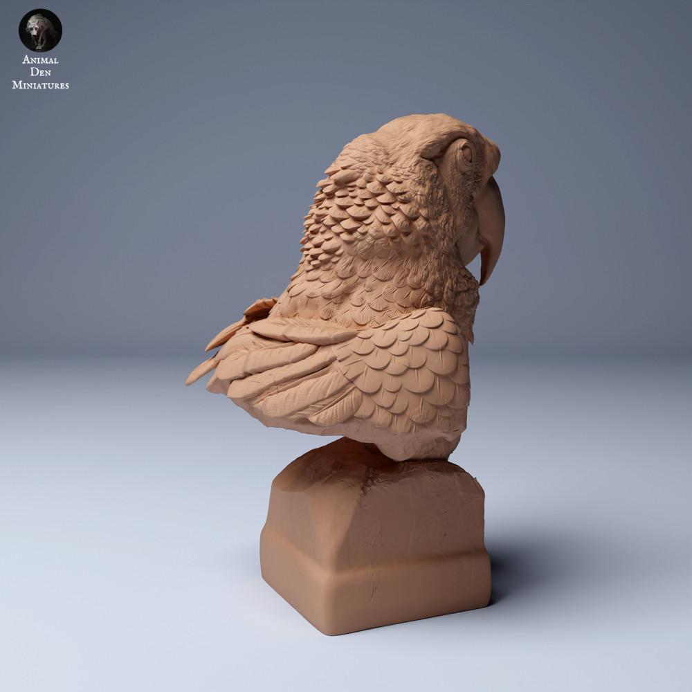 Foto de producto de figura animal Animal Den Miniatures 1: Figura animal de la jungla: guacamayo rojo - busto (24_04_08)