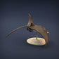 Foto de producto de figura animal Animal Den Miniatures 2: Figura de animal marino: raya manta (21_12_02)