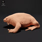 Foto de producto de figura de animal Animal Den Miniatures 0: Figura de animal anfibio: Sapo excavador mexicano (23_09_17)