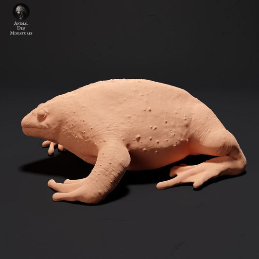 Foto de producto de figura de animal Animal Den Miniatures 0: Figura de animal anfibio: Sapo excavador mexicano (23_09_17)