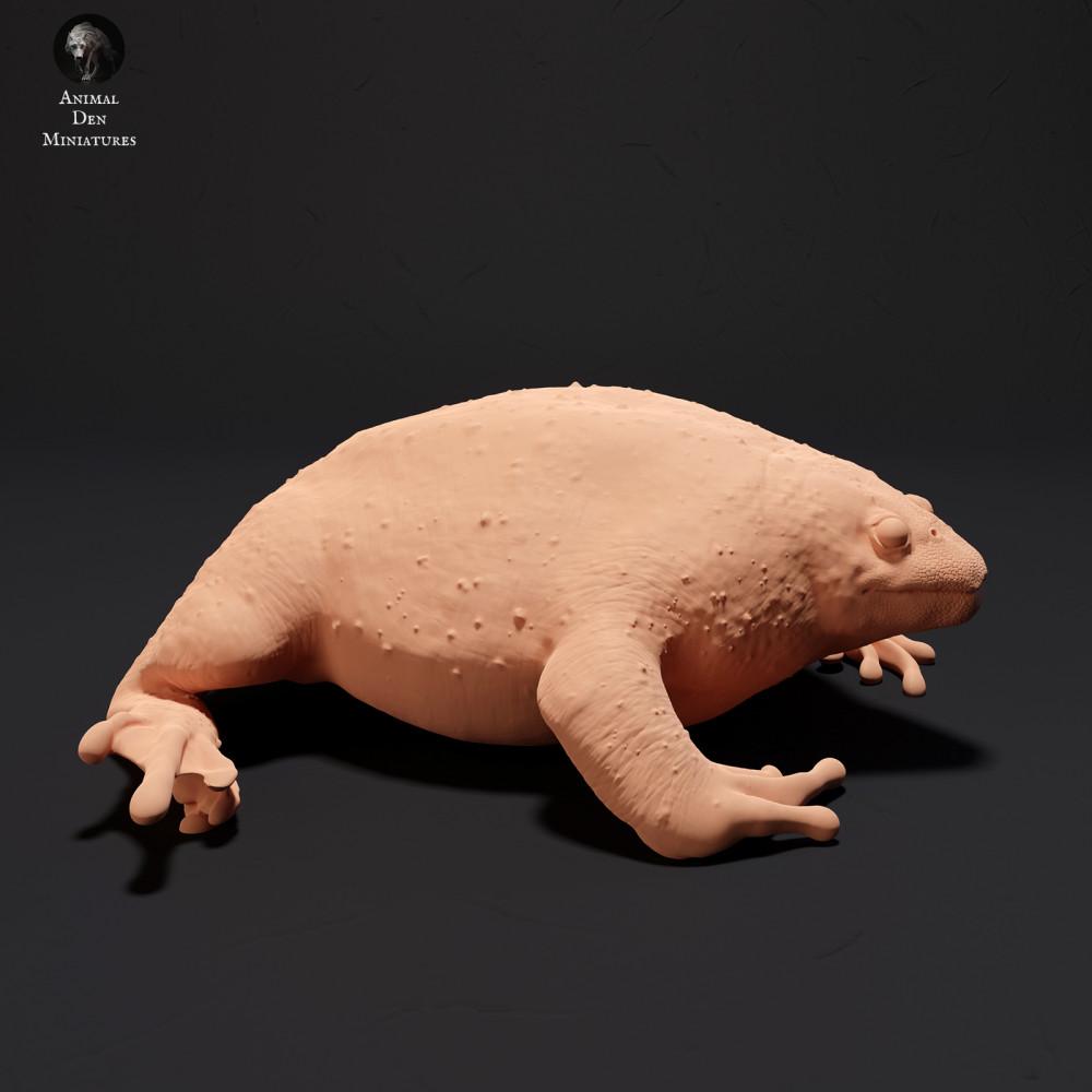 Foto de producto de figura animal Animal Den Miniatures 1: Figura animal anfibia: sapo excavador mexicano (23_09_17)