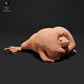Foto de producto 0: Figura de animal anfibio: sapo cavador mexicano - croando (23_09_04)