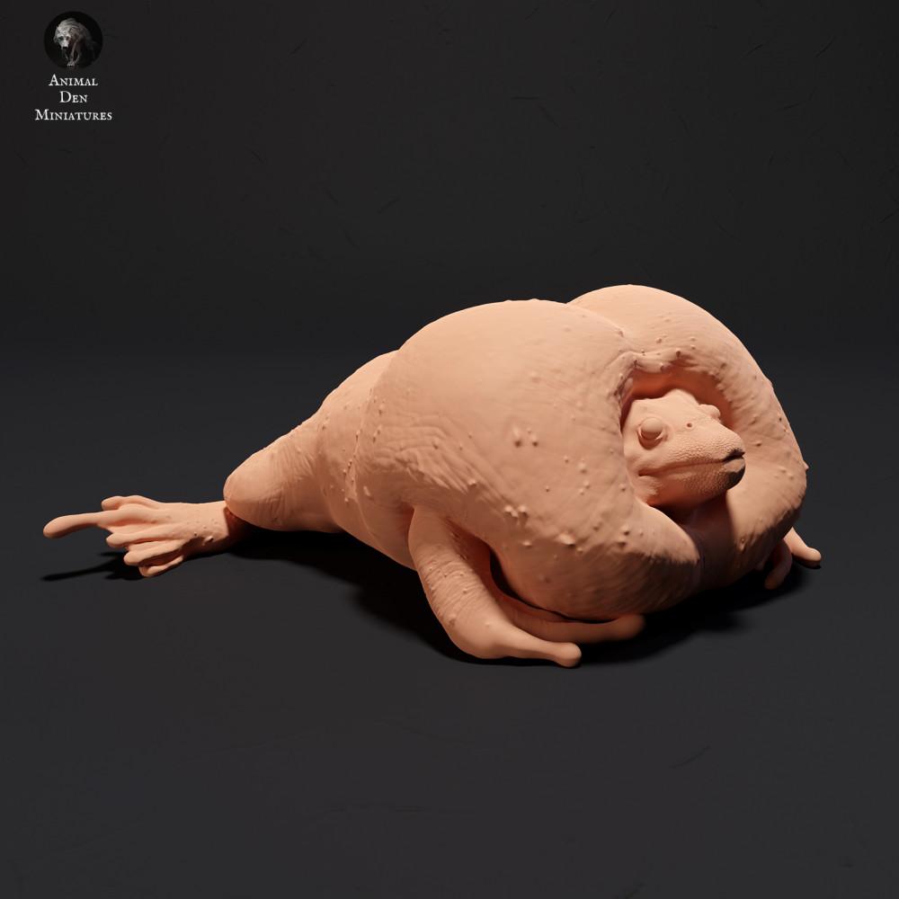 Foto de producto 0: Figura de animal anfibio: sapo cavador mexicano - croando (23_09_04)