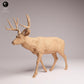 Produktfoto Tabletop 28mm Lord of the Print (LotP) 2: Wildtier Tierfigur: Maultierhirsch - stehend (26_01_07)